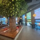 크레이쥬 이미지