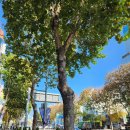 중계역(7호선) 이미지