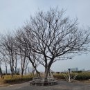 하얀울공원 이미지