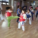 용인대 현대태권도장 이미지