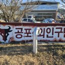 매화초교-1구간 네이버블로그
