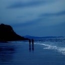 파도향기 이미지