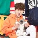태호전자 이미지