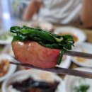 도라지식당 티스토리