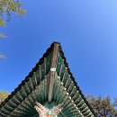 오죽헌/시립박물관 이미지