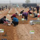 박종일농장 이미지