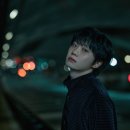 하현상 카카오 검색결과