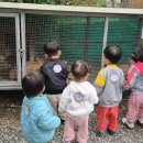 동일숲어린이집 이미지