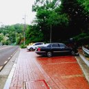 주산산림욕장 Daum카페