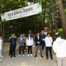 치유의 숲 이미지