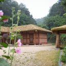 안동호반자연휴양림 이미지