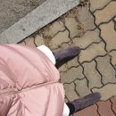 타미지 - 종로구 종로 69 | 스웨이드 스판 삭스부츠 따듯한 타미지 겨울슈즈