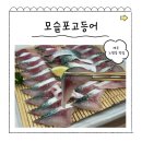 서광카 | 제주공항 근처 노형동 제주시 횟집 모슬포고등어