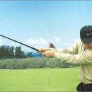 올바른골프연습장 이미지