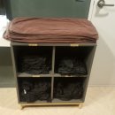 시즌온짐 이미지