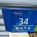 낙지특화거리 파이낸셜투데이