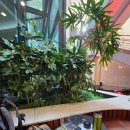 어상천우체국 이미지