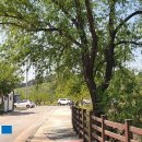 유등연지입구 이미지