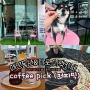 [동탄카페]애견동반 가능한 타로카페 커피픽-반려견과 타로까지 즐길 수 있는 이색카페 솔직후기