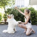 성지약국 이미지