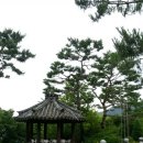 대건효도병원 이미지