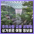 초이트래블 | 싱가포르 여행 주의사항 공항 창이공항 그랩(Grab) 사용법 후기