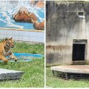 달성공원 이미지