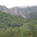 삼척해수욕장 이미지