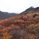 봉미엘