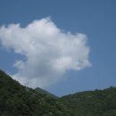 토옥동민박 Daum카페