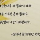 화랑태권도 이미지