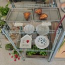 Honey eat (허니잇) | 부산 전포동 | 감성 디저트 카페 | 도자기 소품 | 하트 휘낭시에 | 잇인올투고