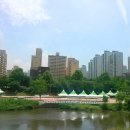 이새수성 이미지