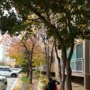 스마트폰 사진찍기 이미지