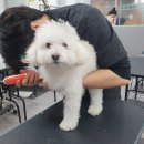 미용회관 이미지