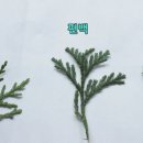 침벽캠핑장 이미지