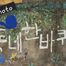 송월시장 이미지