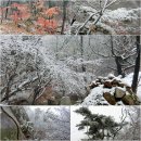 환상적인 설경을 보여주는 망월사의 겨울 풍경을 함께 합니다(1/15). 이미지