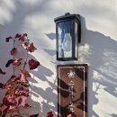 스테이 오무개 이미지