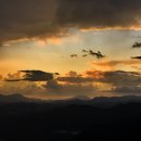 쏘주카페 이미지