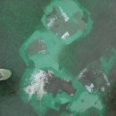 아리랑사 이미지