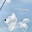 젤코바 퇴촌펜션 이미지