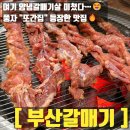 또간집에서 봤던 그 집! 부산갈매기 양념갈매기살 실망 없는 맛
