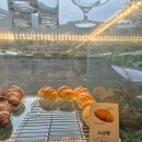 호수정감 | ​🌟 호수 뷰에 취하고, 커피 맛에 반하는 '호수정감' 솔직 후기! ☕️ (안성)