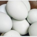 숲속청계농장 이미지