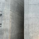 중문에코 | [제주도 중문 카페] 테라로사커피 중문 에코라운지 DT점 - 시나몬라떼, 땅콩라떼 후기