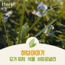 허브이야기 이미지