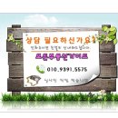 대전용전초등학교 이미지