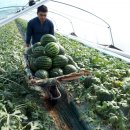 군북시장 이미지