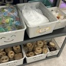 대구곤충마트 이미지